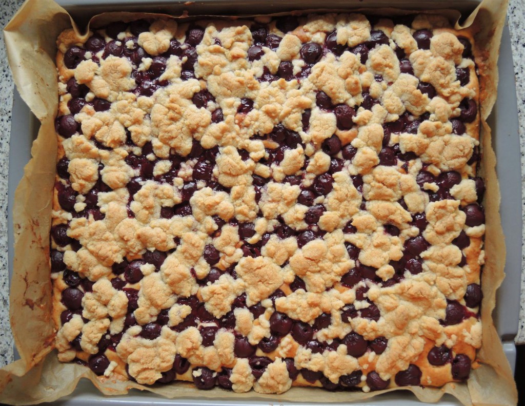 Kirsch-Streusel-Kuchen (3)