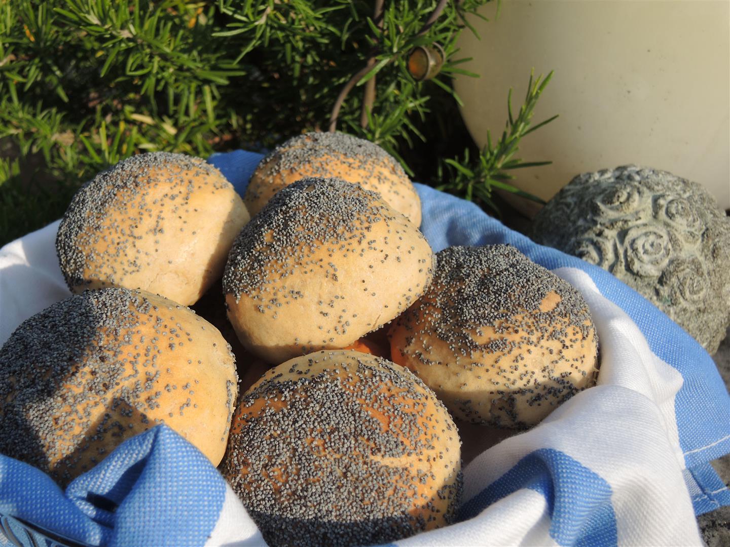 Schwedische Roggenbrötchen mit Mohn - Chilirosen